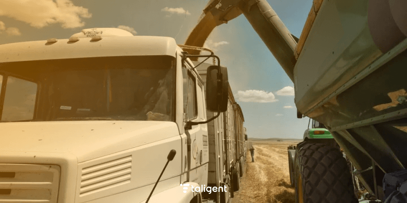 Mejorando la calidad del producto a través de los datos: BI para el sector Agroindustrial